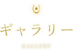 ギャラリー